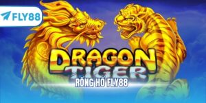 rồng hổ fly88